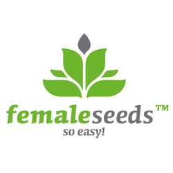 Producent nasionmarihuany female seeds